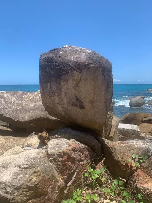Epea Ocean View Top فيكتوريا المظهر الخارجي الصورة