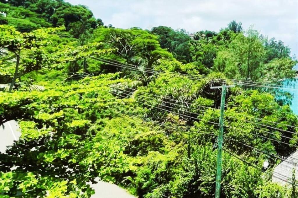 Epea Ocean View Top فيكتوريا المظهر الخارجي الصورة
